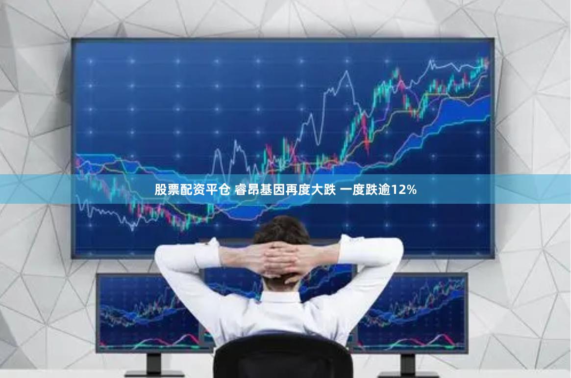 股票配资平仓 睿昂基因再度大跌 一度跌逾12%