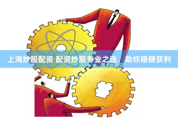 上海炒股配资 配资炒股专业之选，助你稳健获利