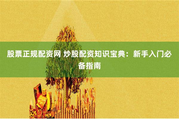 股票正规配资网 炒股配资知识宝典：新手入门必备指南