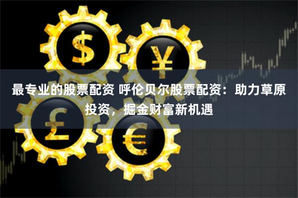 最专业的股票配资 呼伦贝尔股票配资:助力草原投资,掘金财富新机遇