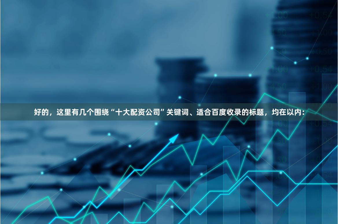好的，这里有几个围绕“十大配资公司”关键词、适合百度收录的标题，均在以内：